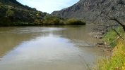 PICTURES/Bandelier - Falls Trail/t_Rio Grande River 1.JPG